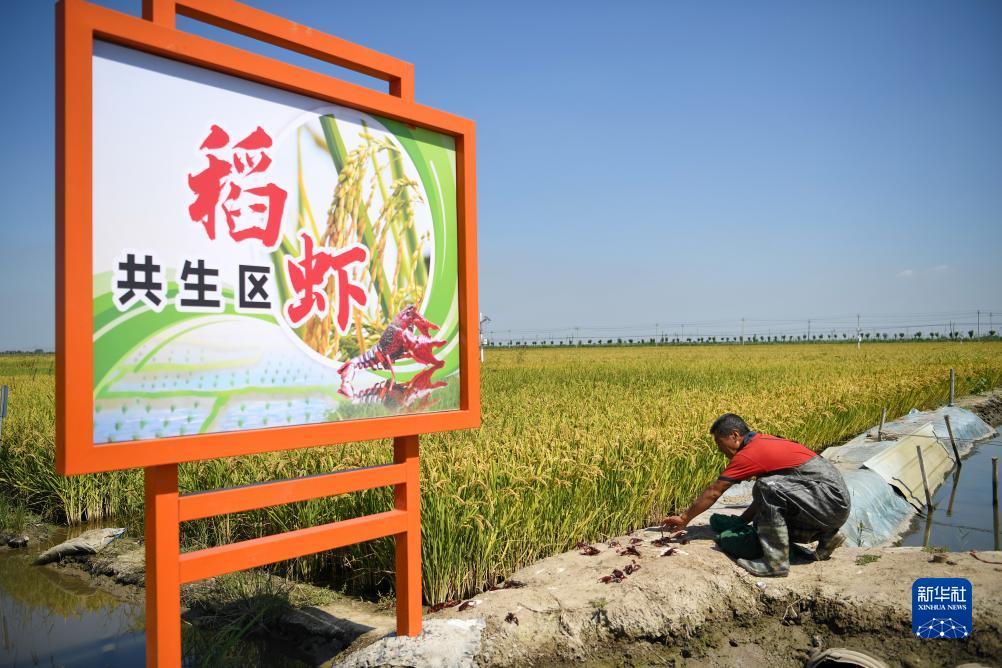 开心电玩网